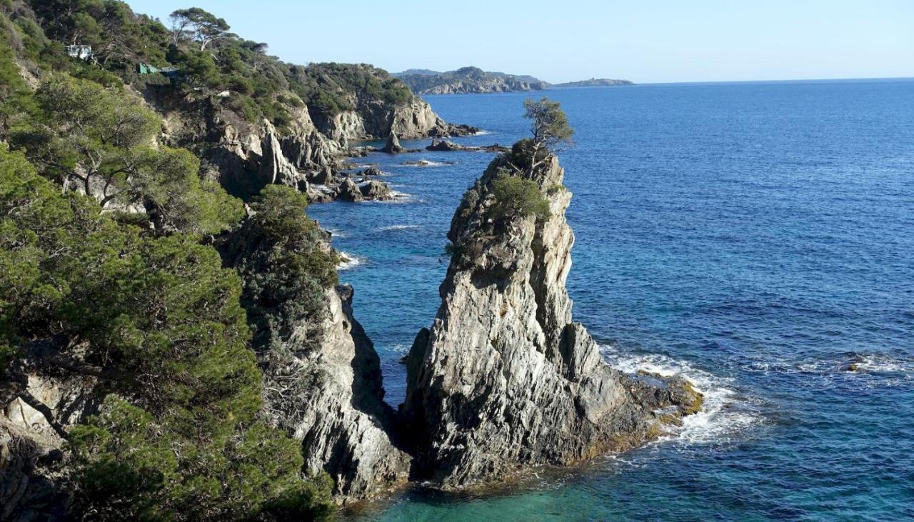 Studio Residence Bona, Vue Hippodrome Et Mer, Clim Hyères Екстериор снимка