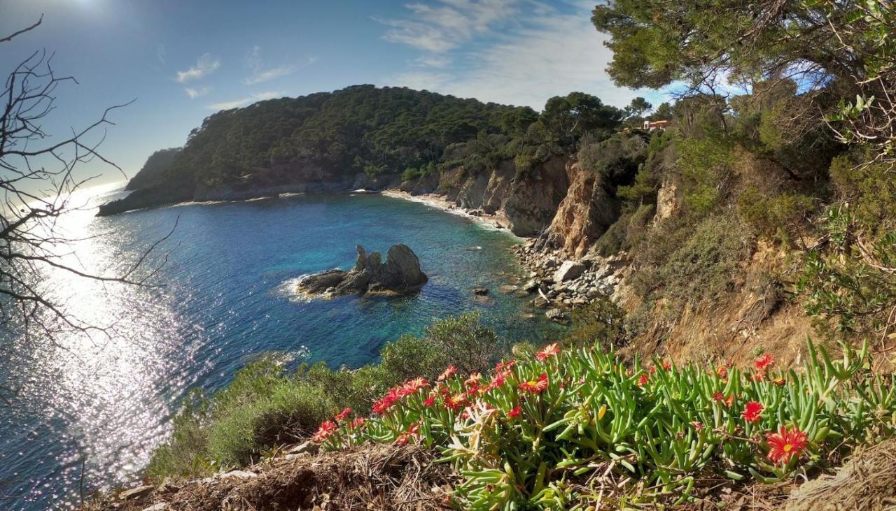 Studio Residence Bona, Vue Hippodrome Et Mer, Clim Hyères Екстериор снимка
